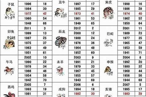 属狗的今年几岁|属狗的年份表及年龄 属狗的年份及年龄对照